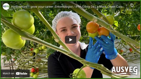 Ausveg Highlights How To Grow A Career In Horticulture With A Diverse Range Of Jobs
