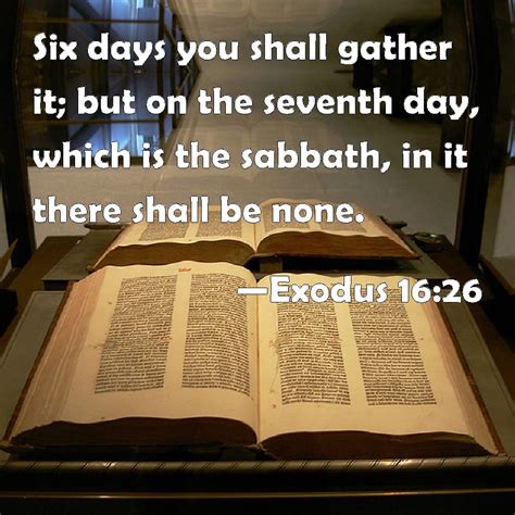 Exodus 1626 Six Days You Shall Gather It But On The Seventh Day
