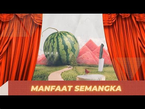 Ketahui Manfaat Semangka Yang Bikin Kamu Penasaran Manfaat