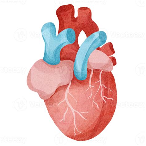 Watercolor Heart Clip Art 16536676 Png