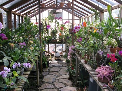 We did not find results for: 5 Reasons Why You Should Build Your Own Greenhouse - Big Green Purse
