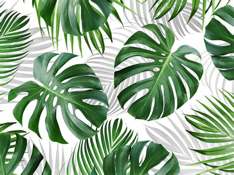 Tropical Foliage Pattern