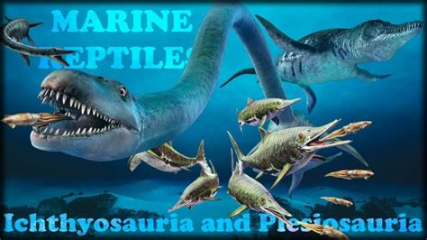 Evolution Of Marine Reptiles Reptile Keeper