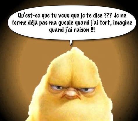 humour quoique lol humour proverbe humour humour drole