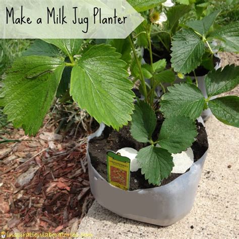 Make A Milk Jug Planter Inspiration Laboratories