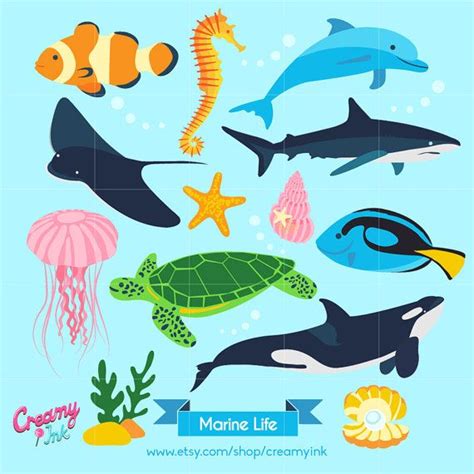 Ocean Digital Vector Clip Art Marine Life Clipart By Creamyink Fish