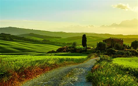 Wallpaper Id 556671 Trees Landscape Italy Fields Beautiful Road