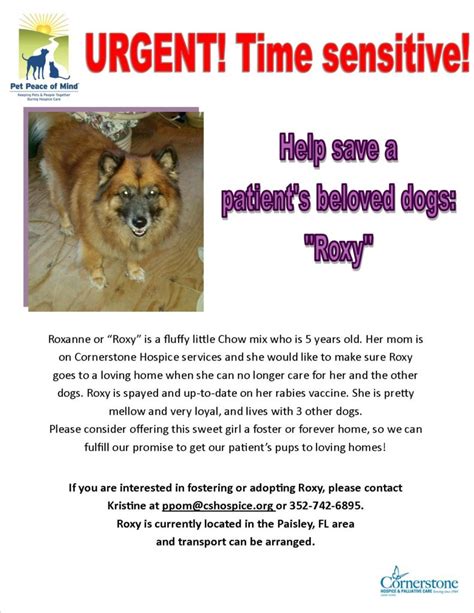 Bring your pet directly to us by arranging an. Pet Peace Of Mind Program Helps Hospice Patients With Pets ...