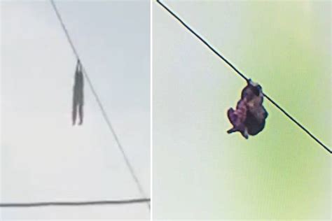 Girl 9 Left Hanging From Powerline 50ft In The Air After Playing On