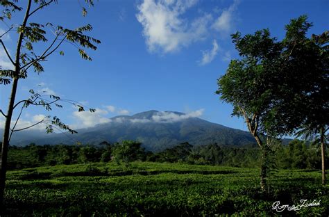 The Wonderful Of West Java Indonesia Gunung Salak Sukabumi Salak