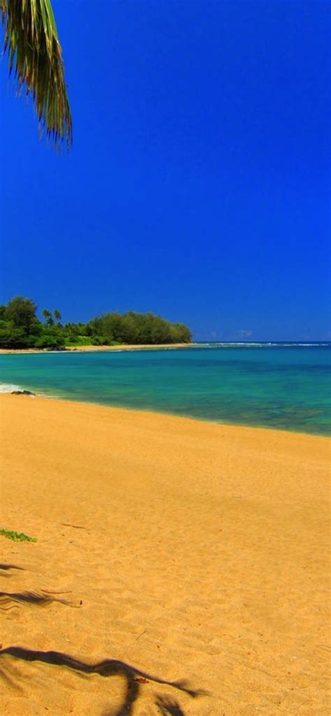 We did not find results for: Paling Keren 27+ Foto Wallpaper Pantai - Richa Wallpaper