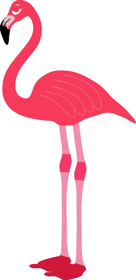 Flamingo Png Transparent Image Download Size 1098x2256px
