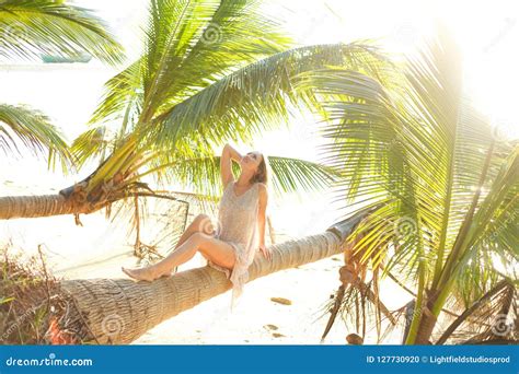 Seductive Woman Posing On Fallen Palm Tree Stock Photo Image Of
