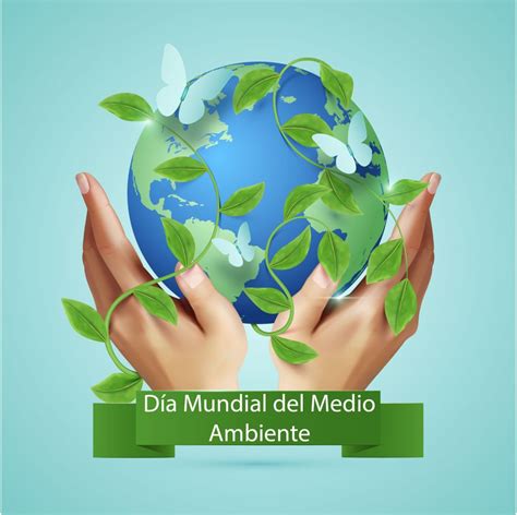 Cu L Es La Importancia Del D A Mundial Del Medio Ambiente La Verdad Noticias