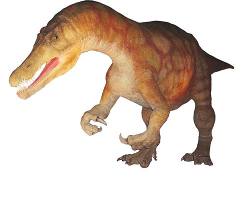 El Baryonyx Dinosaurio Aprende M S Abcdino