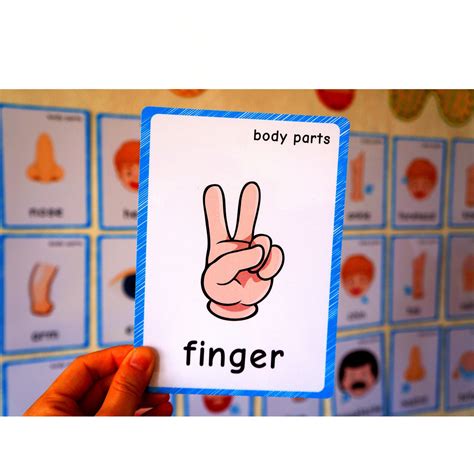 Body Parts Flash Cards Word Cards