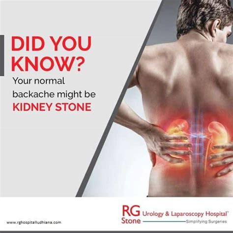 Where Is Kidney Pain Located In Back
