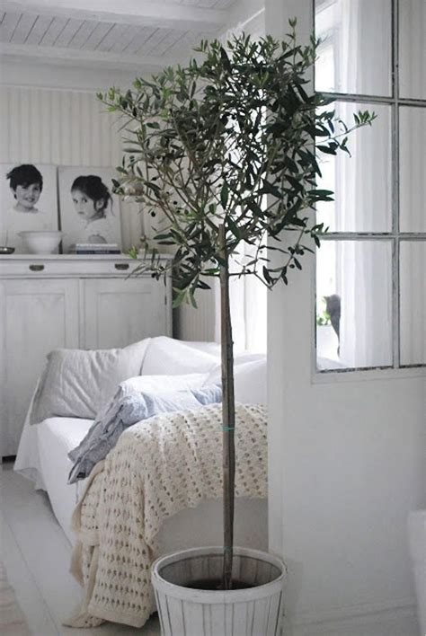 We did not find results for: Planten in badkamer en slaapkamer — InteriorInsider.nl