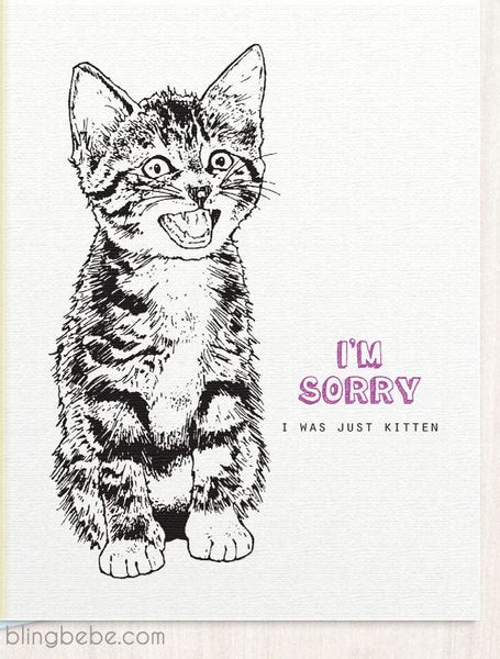 Im Sorry I Was Just Kitten Apology Im Sorry Card By Blingbebe