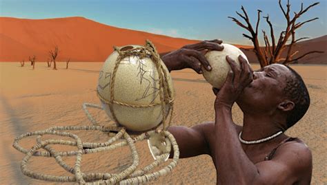 Africans In Kalahari Desert Stored Water In Ostrich Eggshells