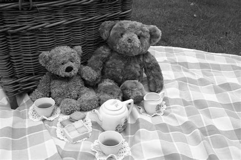 Uncover the Secret Meaning Behind the Lyrics of the Teddy Bear Picnic