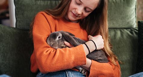Så Tar Du Hand Om Din Kanin På Bästa Sätt Agria Djurförsäkring