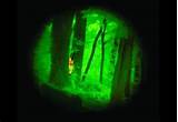 Infrared Heat Vision Goggles Images