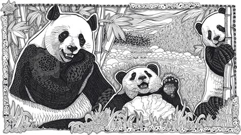 Here are some free printable combo panda coloring pages. Panda Doodle Time Lapse with Printable Coloring Page - YouTube