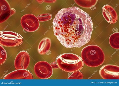 Eosinophil White Blood Cells With Transparency Membrane And