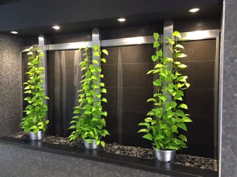 Green Wall For Your Office Why Vertical Wall Gardens Are The New