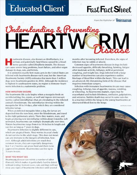 The disease targets the lungs most dogs with heartworm disease involve many worms and the heart and lungs are the prime targets for damage. Understanding & Preventing Heartworm Disease: The disease ...