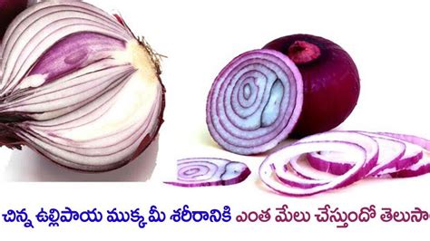 Get Rid Of Skin Infections With Onion Onion Rubbing Benefits Benefits