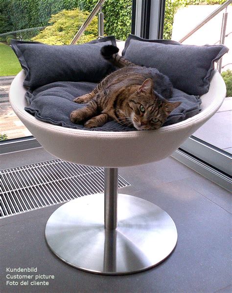 Luxury Cosmo Faux Leather Cat Bed Chelsea Cats
