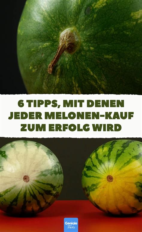 6 tipps mit denen du erkennst ob eine wassermelone reif and süß ist melonen wassermelone tipps