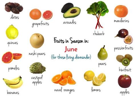 Fruits In Season In June Infographic Fruit In Season Fruit Rhubarb