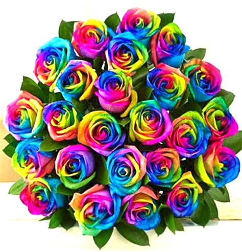 24 Rainbow Roses Bouquet Sunlight Flower Shop