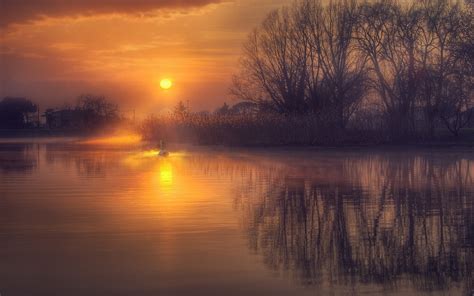 Sunrise Reflection Calm Lake Nature Landscape Water Swans Mist