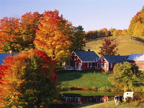 View Full Size Jennes Farm In Autumn Vermont Vermont Farms