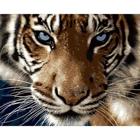 Realistic Tiger Adult Diy Paint By Numbers Kit Diy Projects Diy Ideas