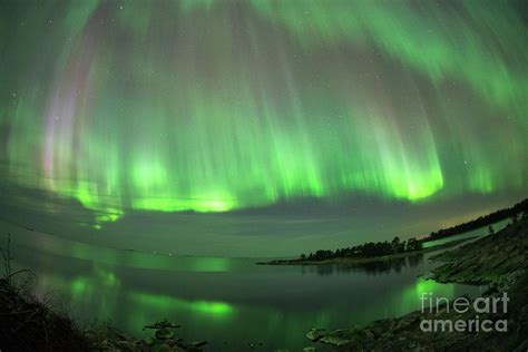 Aurora Borealis Over Finland Photograph By Pekka Parviainenscience