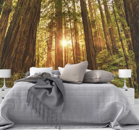Mystical Morning Forest Wall Mural Tenstickers