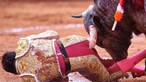 Gouged Bullfighter Gets His Anus Stitched Back Together