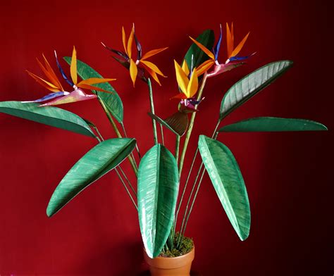Bird Of Paradise Paper Flower Templates Digital Delivery Etsy