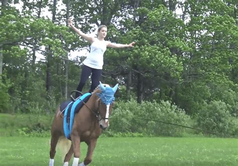Equestrian Vaulting Video By Kevin