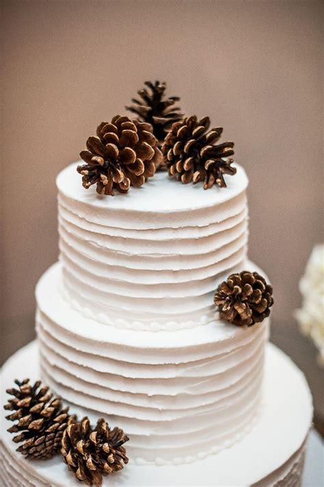 Simple Pretty White Winter Wedding Cakes Winter Wedding Cake White