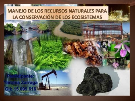 La Naturaleza Es Libre Y El Medio Ambiente Responsabilidad De Todos