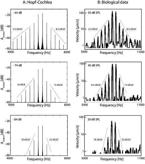 Basilar Membrane Response Spectrograms For Two Tone Stimulation With