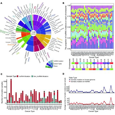 Landscape Of Somatic Mutations Across 33 Cancer Types A Global Map