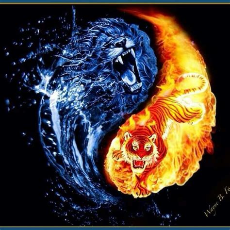 Lion And Tiger Yin Yang Japanese Wallpaper Iphone Cellphone Wallpaper