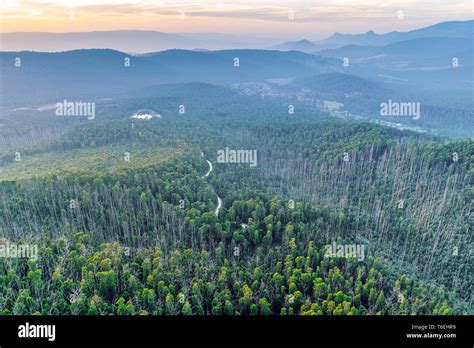 Scenic Sunset Over Mountains With Road Passing Through Forest In